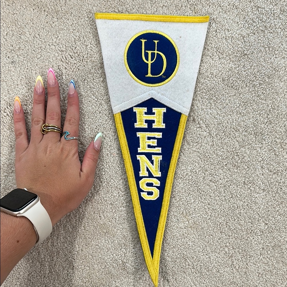 Blue and Yellow UD Hens Pennant